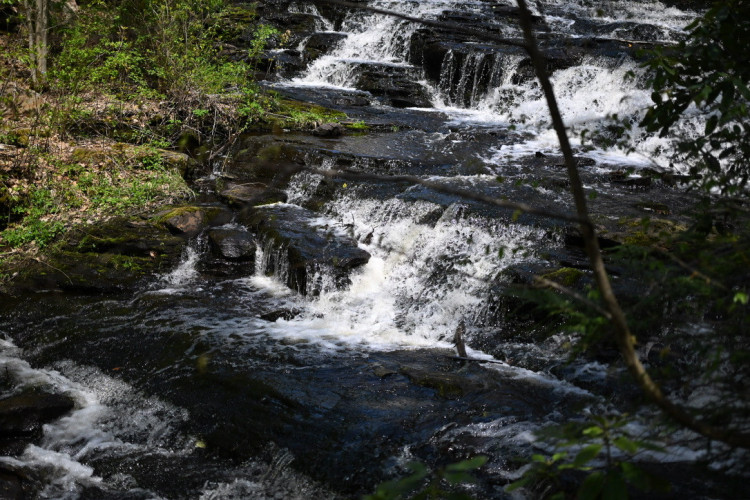 563E9D8B-BC45-40A8-8C86-A6E304BCFAE5_1_105_c.jpeg