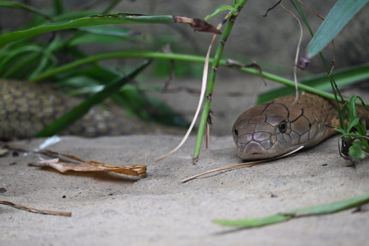 DSC_2397.jpg