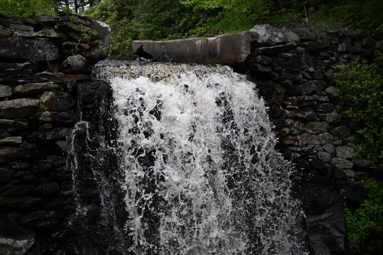 DSC_3027.jpg