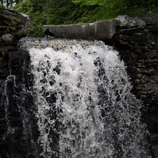 DSC_3027