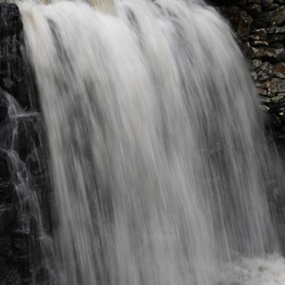 DSC_3048