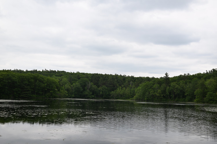 DSC_3088.jpg