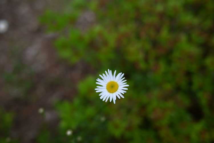 DSC_3100.jpg
