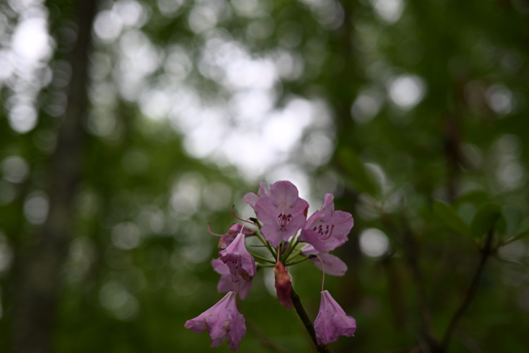 DSC_3104.jpg