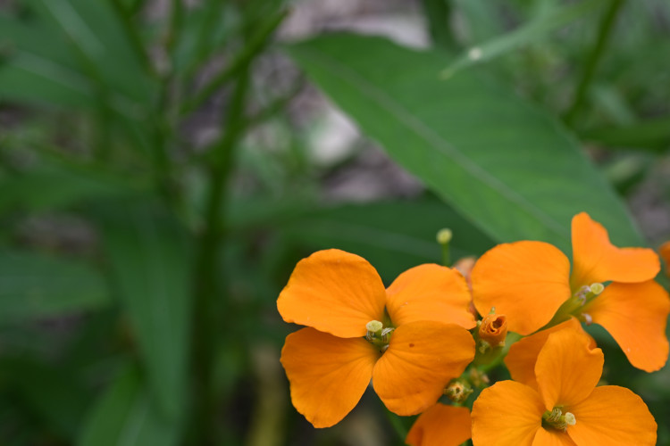 DSC_3119.jpg