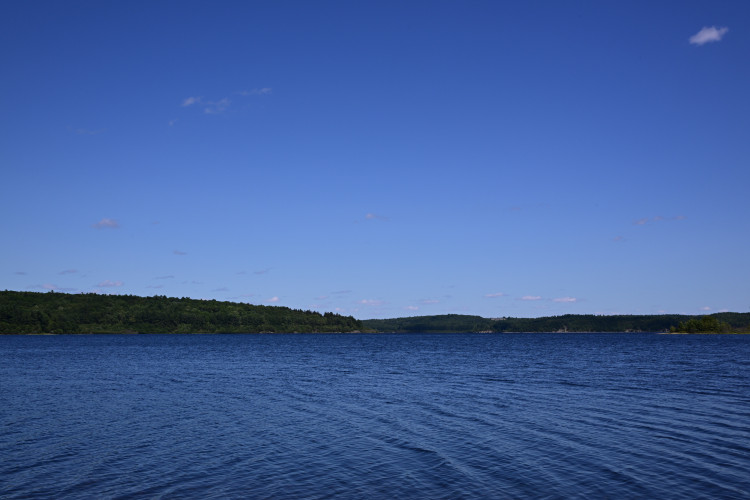 DSC_3318.jpg