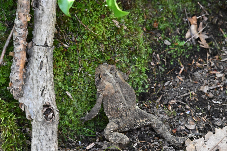DSC_3370.jpg