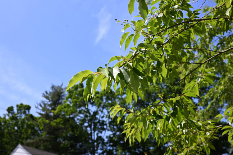 DSC_2992.jpeg