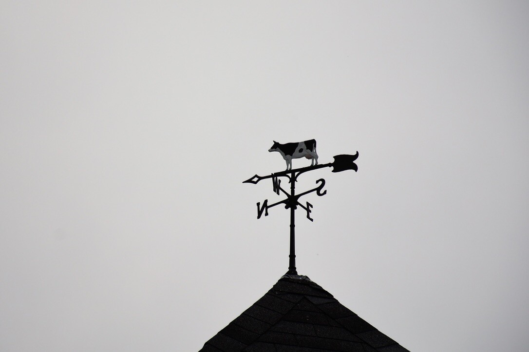 The Iron Cow