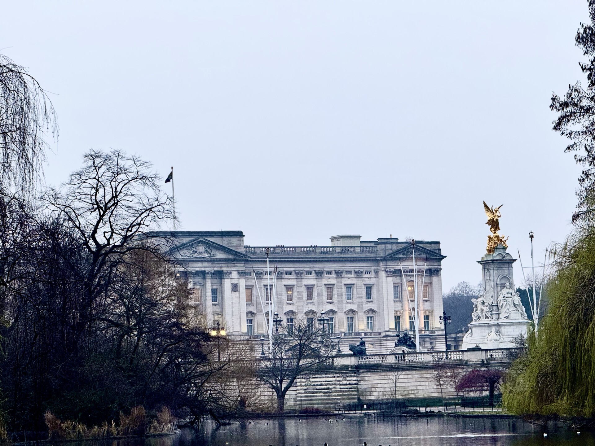 Palace View