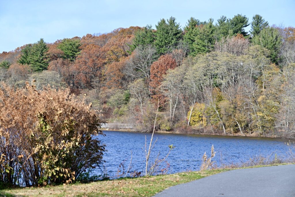 A Journey Around Coes Pond