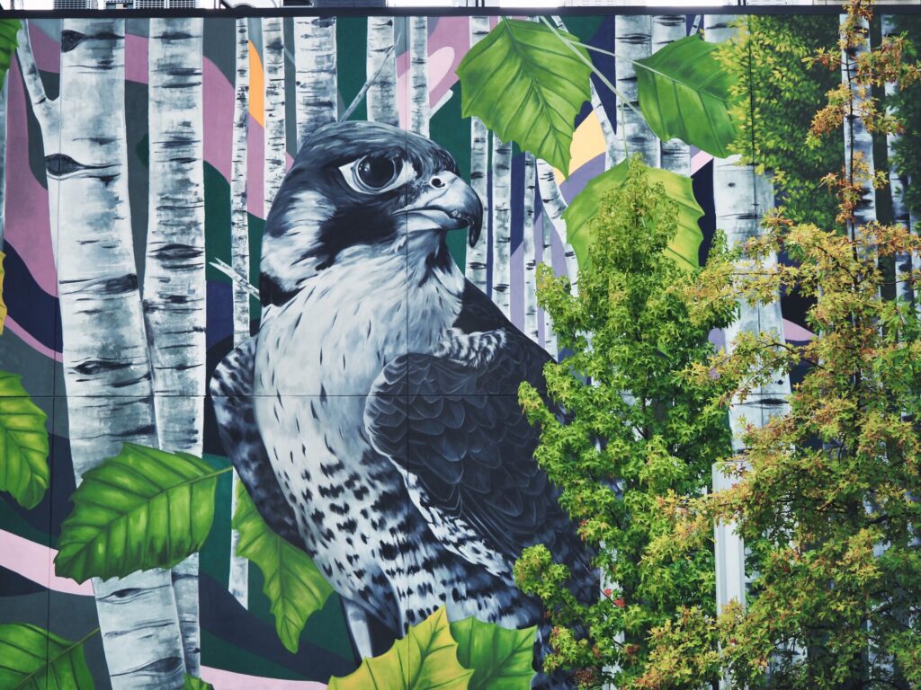 Concrete Jungle Art